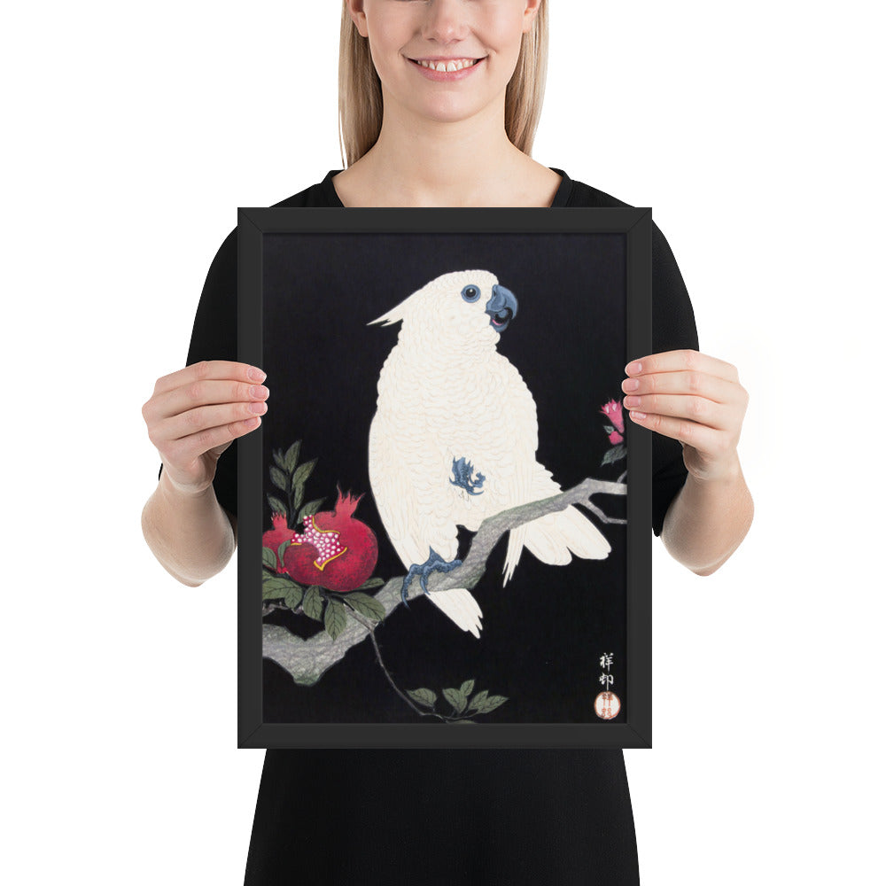 Cockatoo and Pomegranate by Ohara Koson
