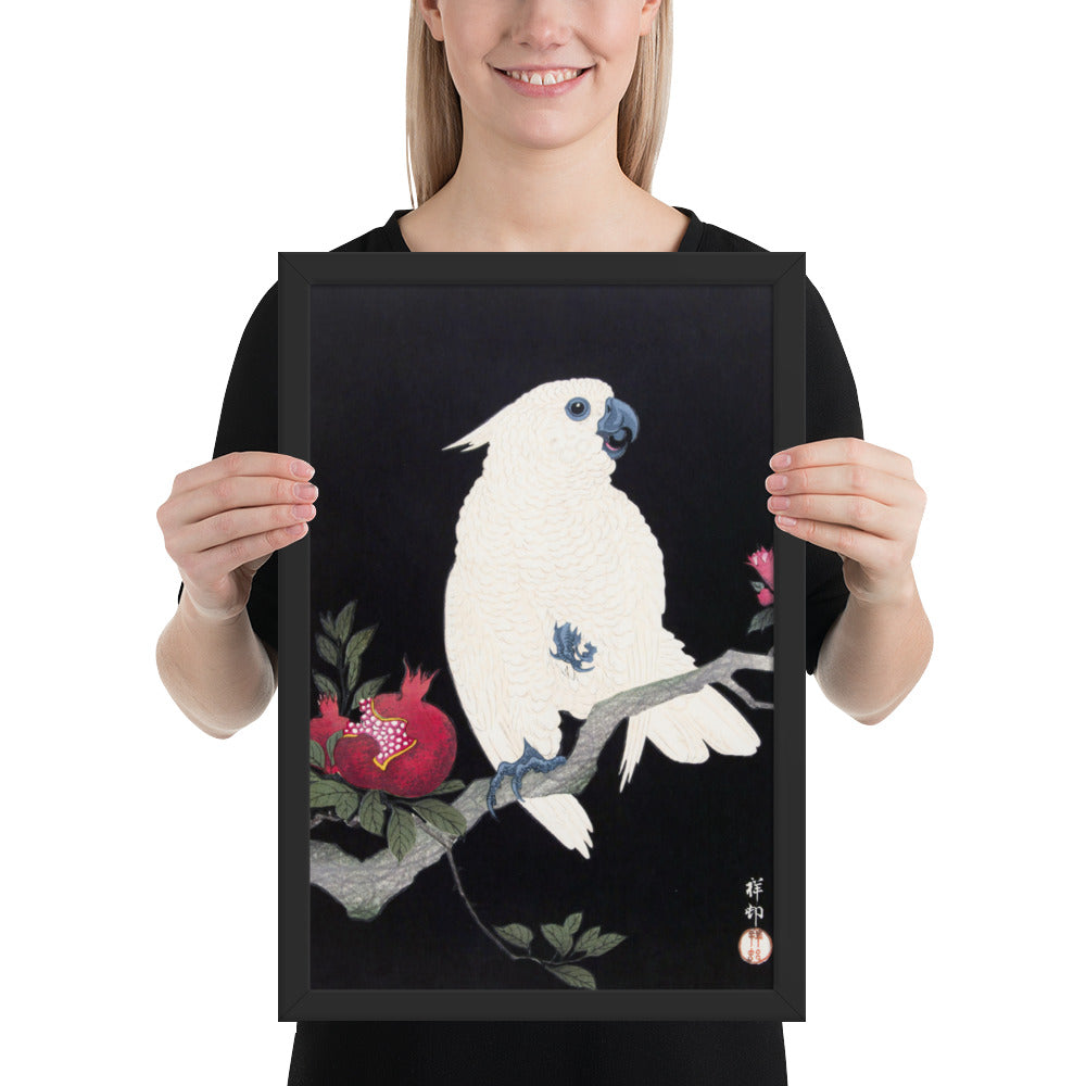 Cockatoo and Pomegranate by Ohara Koson