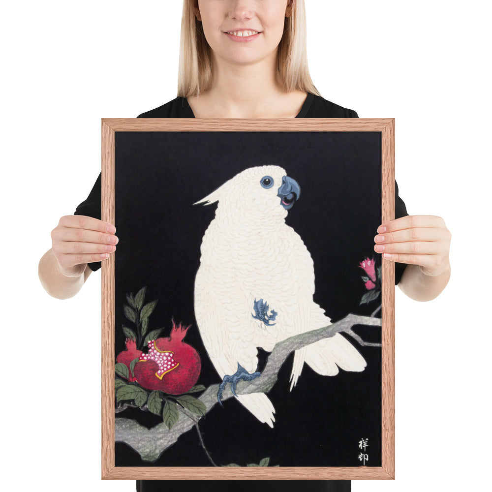 Cockatoo and Pomegranate by Ohara Koson
