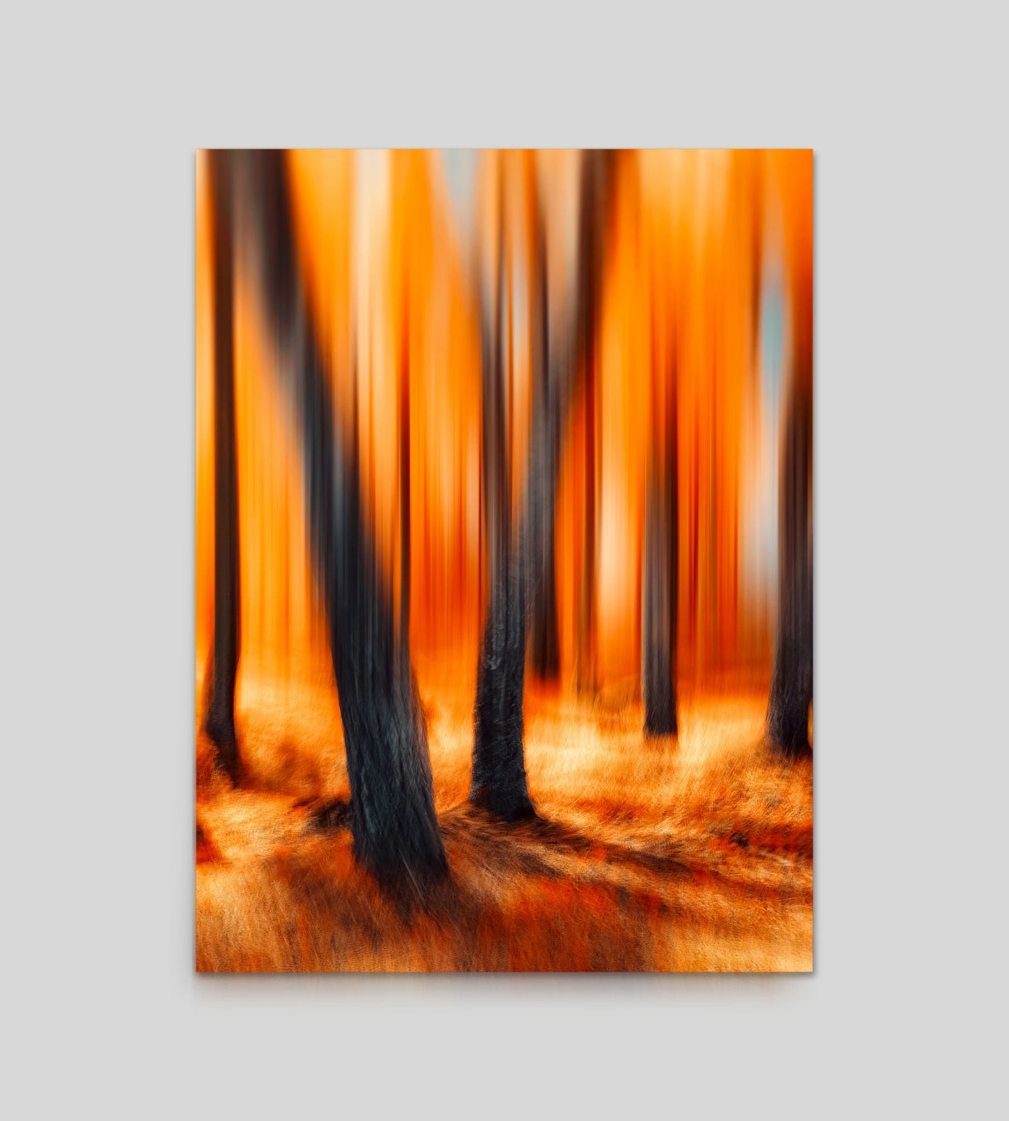Ghost Trees