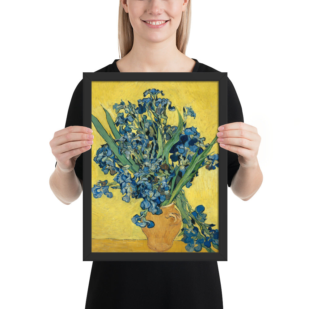 Vincent van Gogh's Irises