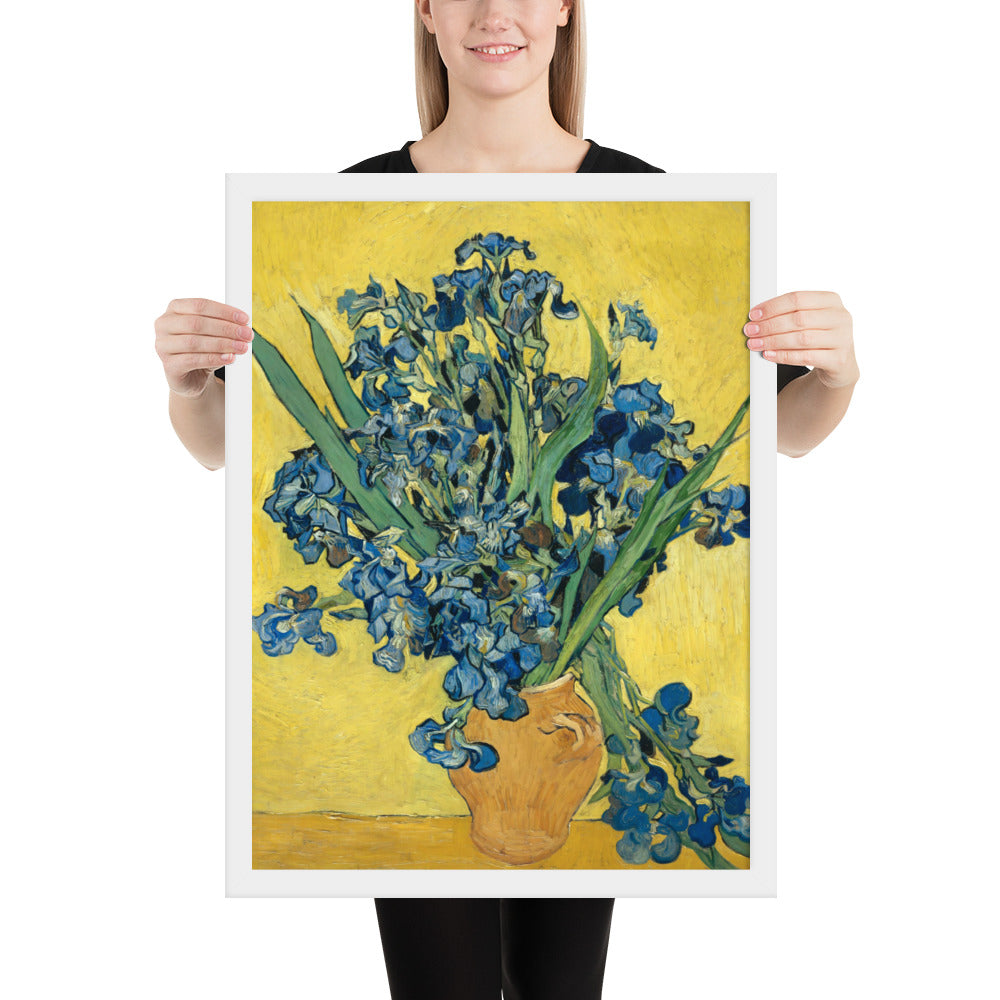 Vincent van Gogh's Irises