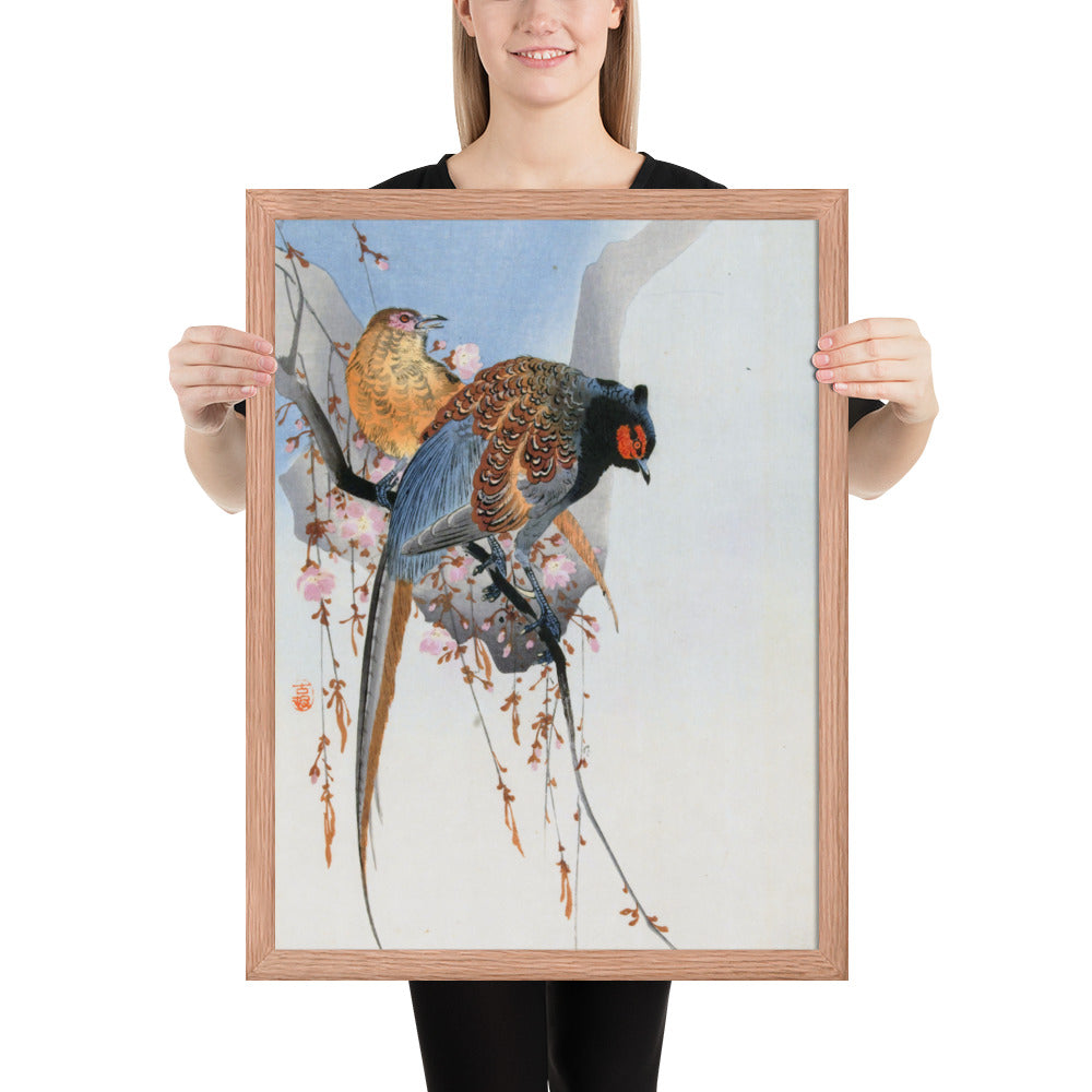 Pheasant Couple and Plum Blossom by Ohara Koson