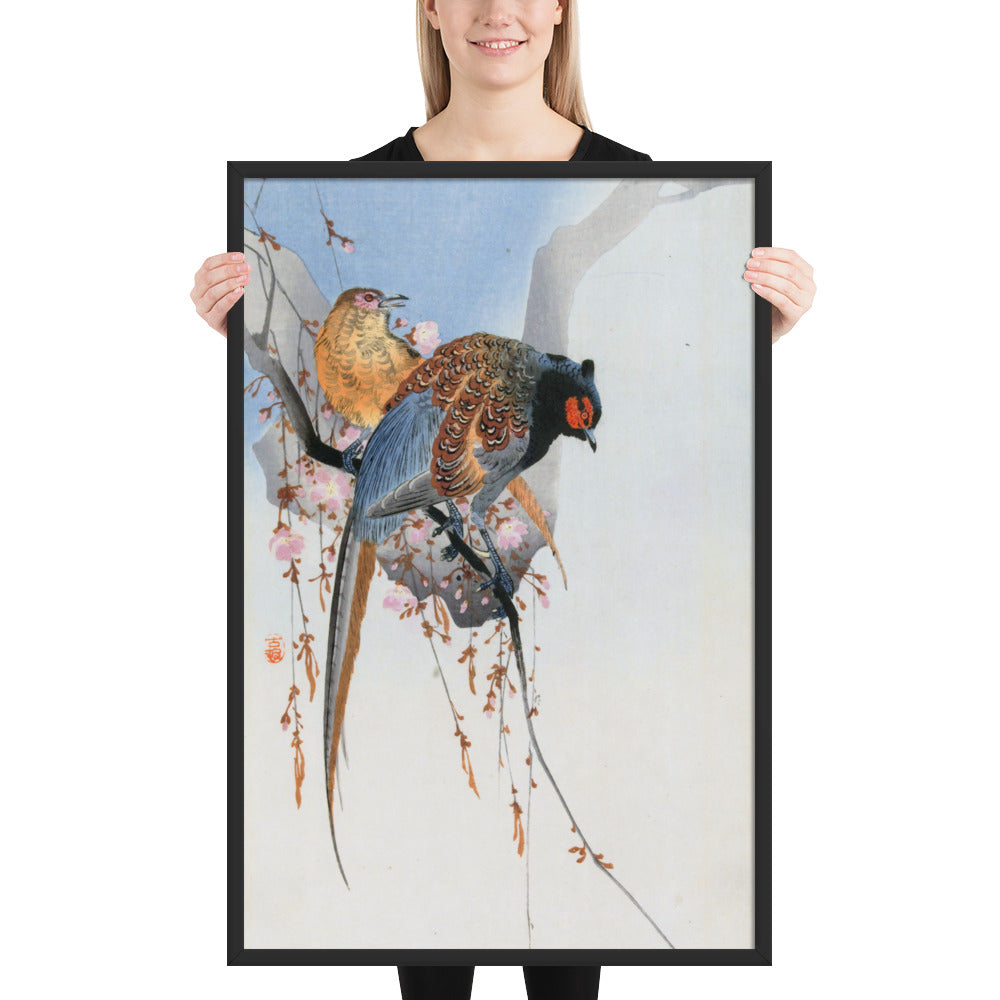 Pheasant Couple and Plum Blossom by Ohara Koson