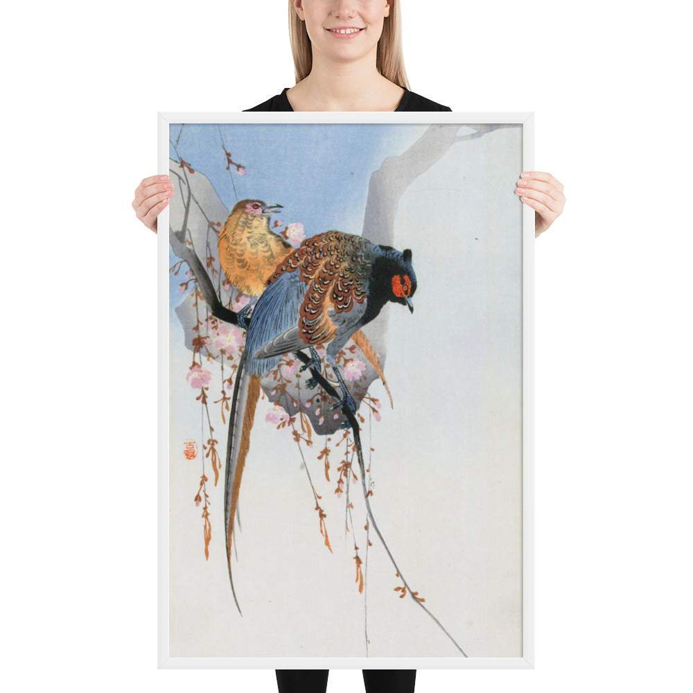 Pheasant Couple and Plum Blossom by Ohara Koson