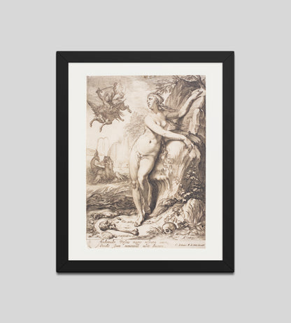 Andromeda by Jan Saenredam