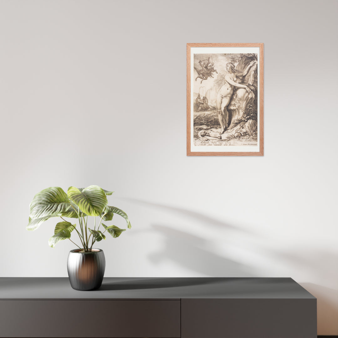 Andromeda by Jan Saenredam