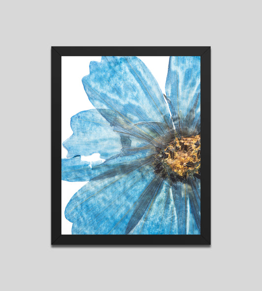 Blue Flower
