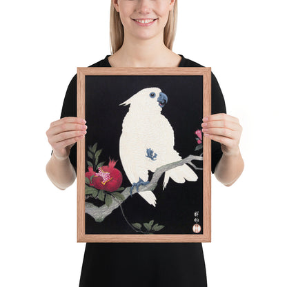 Cockatoo and Pomegranate by Ohara Koson