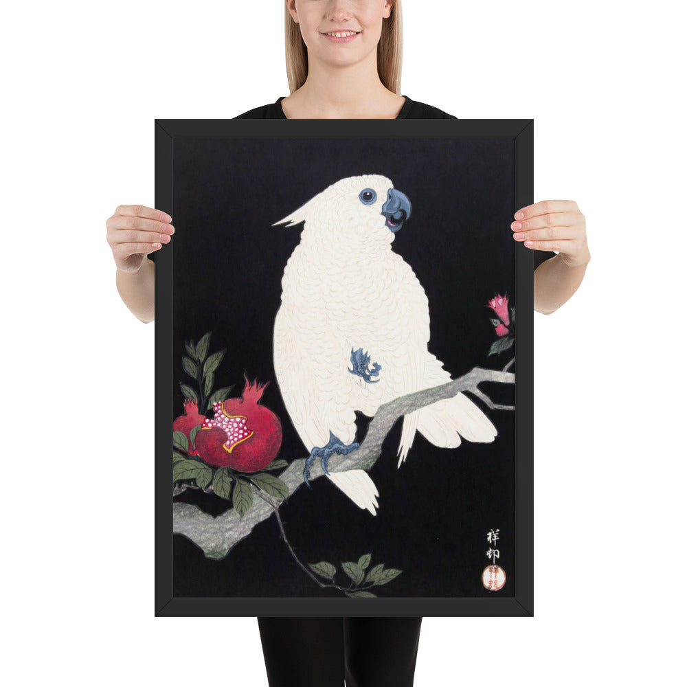 Cockatoo and Pomegranate by Ohara Koson