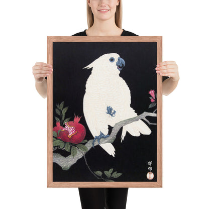 Cockatoo and Pomegranate by Ohara Koson
