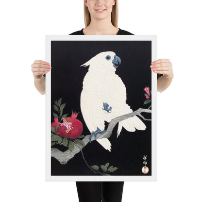 Cockatoo and Pomegranate by Ohara Koson