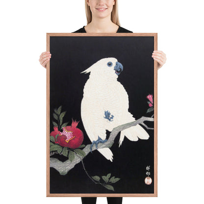 Cockatoo and Pomegranate by Ohara Koson