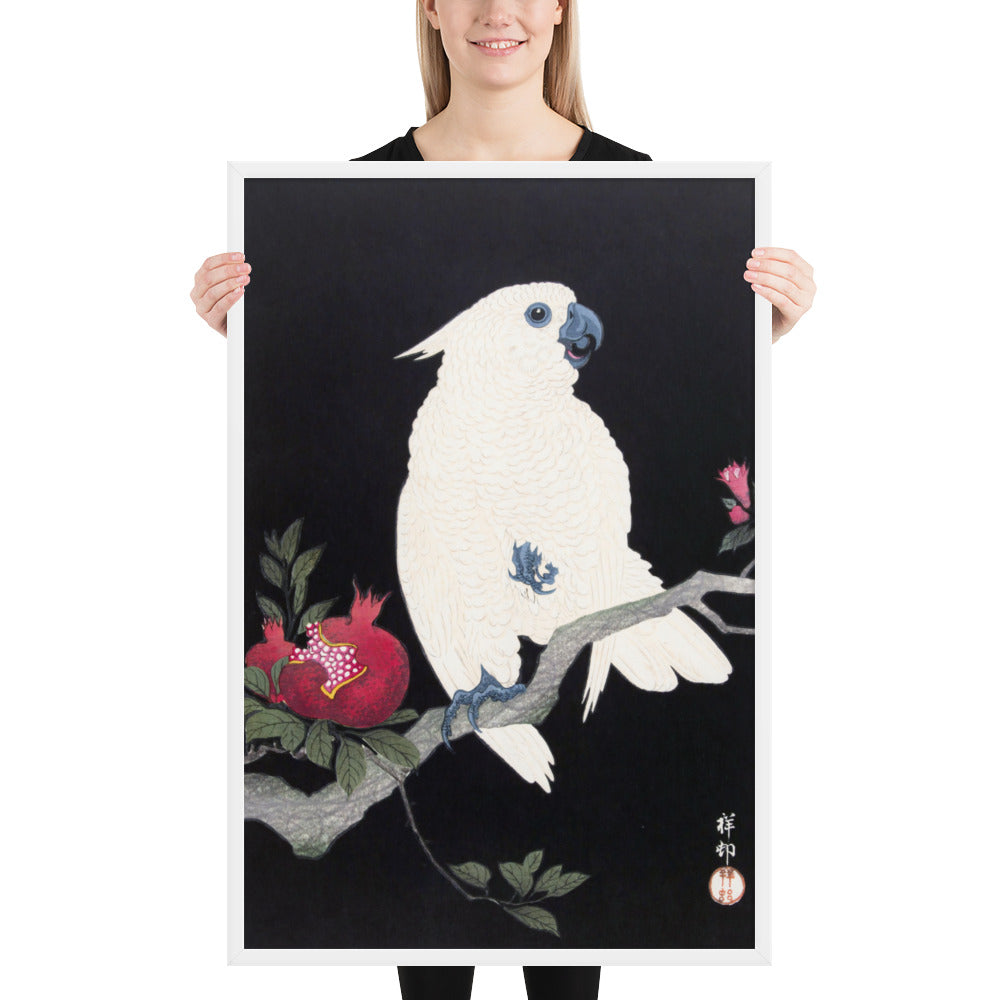 Cockatoo and Pomegranate by Ohara Koson