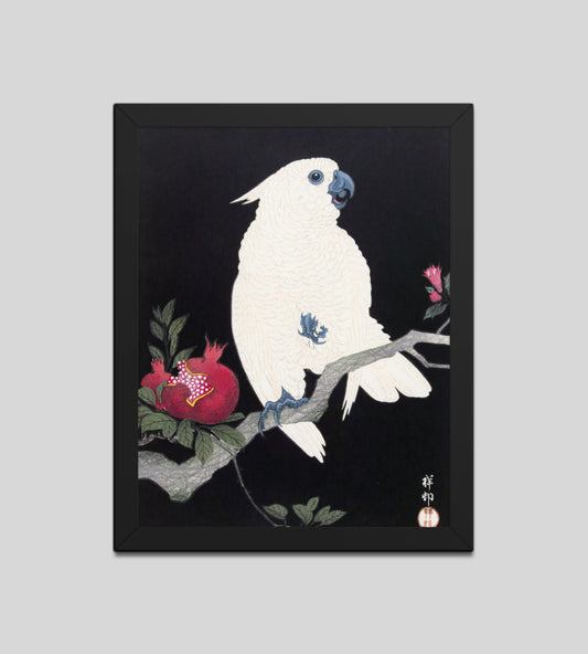 Cockatoo and Pomegranate by Ohara Koson