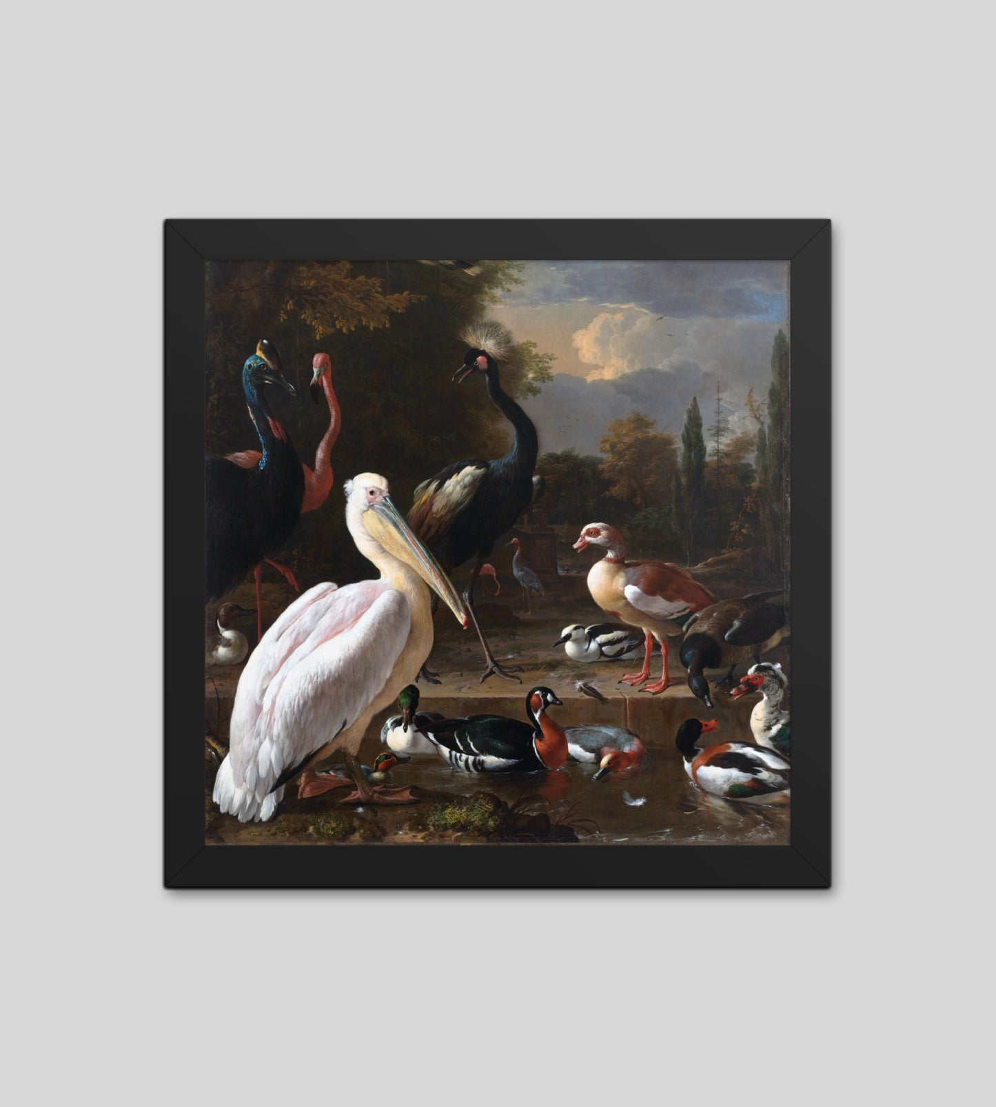 The Floating Feather by Melchior d' Hondecoeter