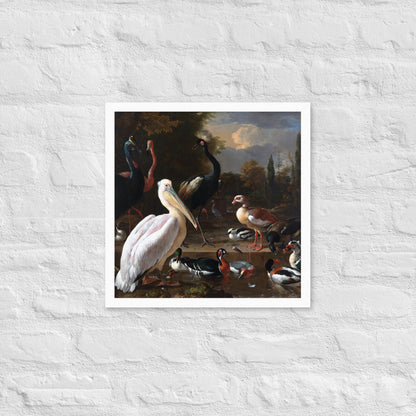 The Floating Feather by Melchior d' Hondecoeter