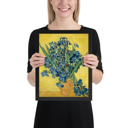 Vincent van Gogh's Irises