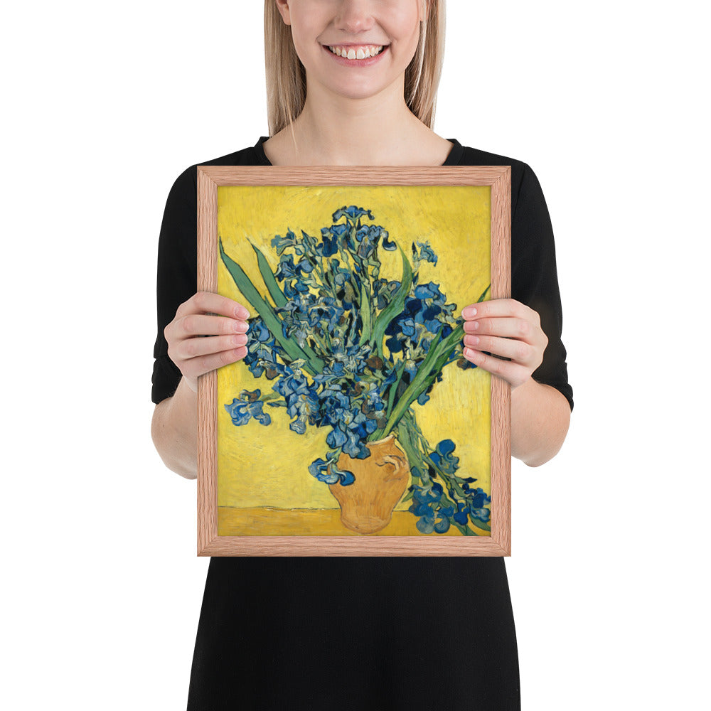Vincent van Gogh's Irises