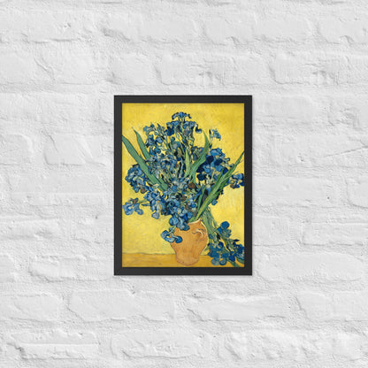 Vincent van Gogh's Irises
