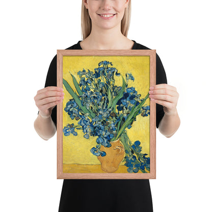 Vincent van Gogh's Irises