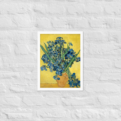 Vincent van Gogh's Irises