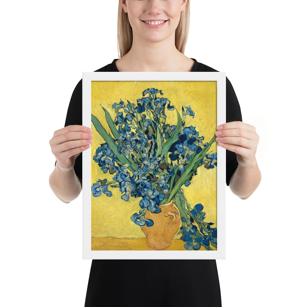 Vincent van Gogh's Irises