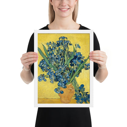 Vincent van Gogh's Irises