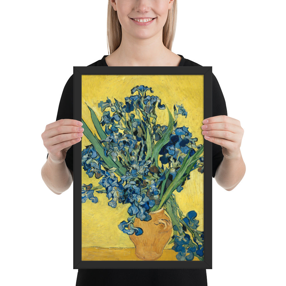 Vincent van Gogh's Irises