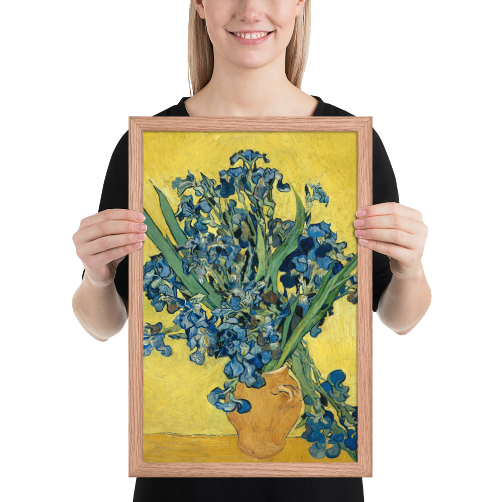 Vincent van Gogh's Irises