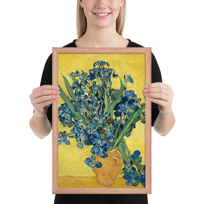 Vincent van Gogh's Irises