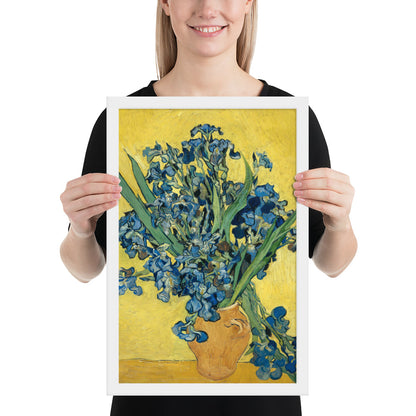 Vincent van Gogh's Irises