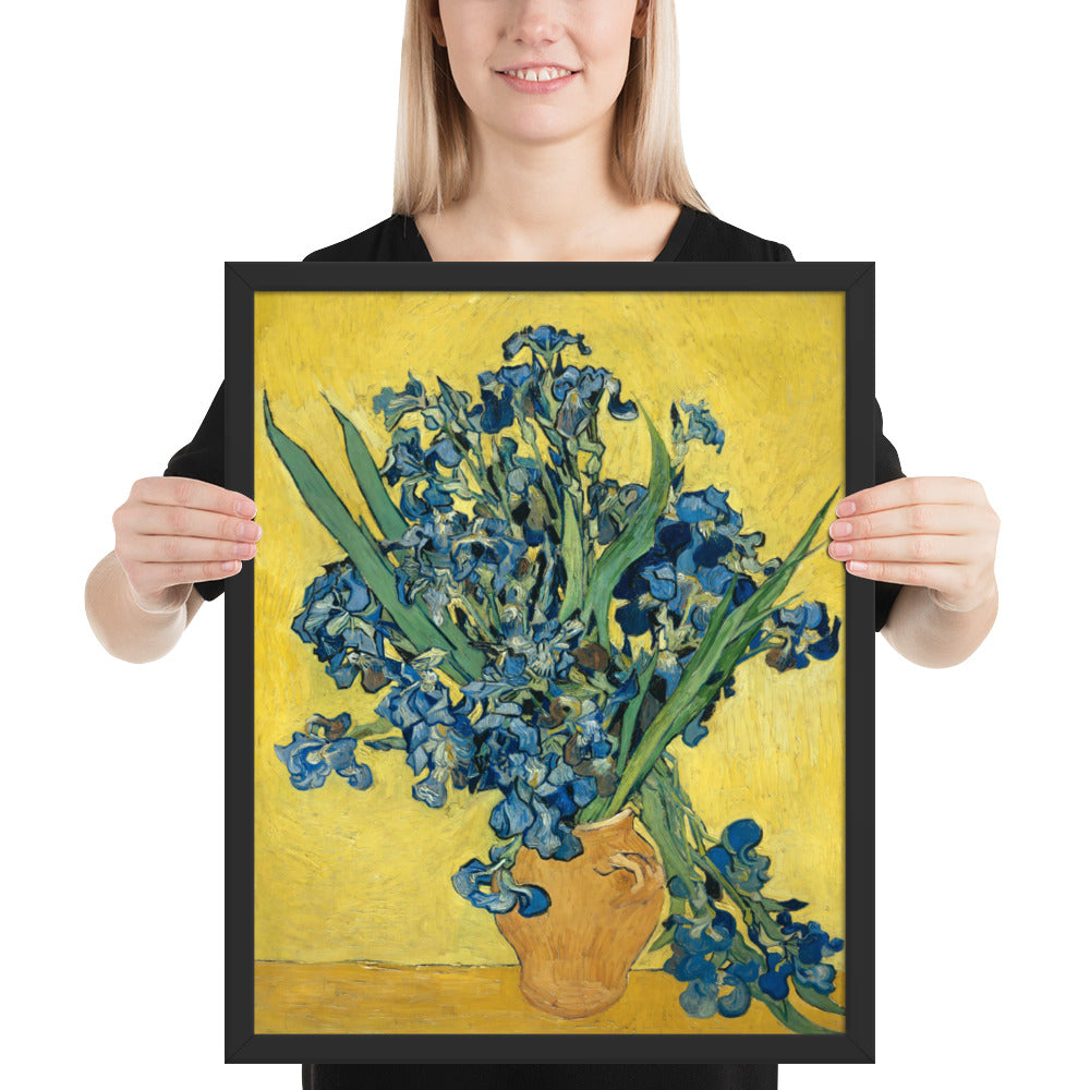 Vincent van Gogh's Irises