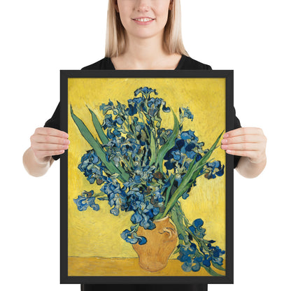 Vincent van Gogh's Irises