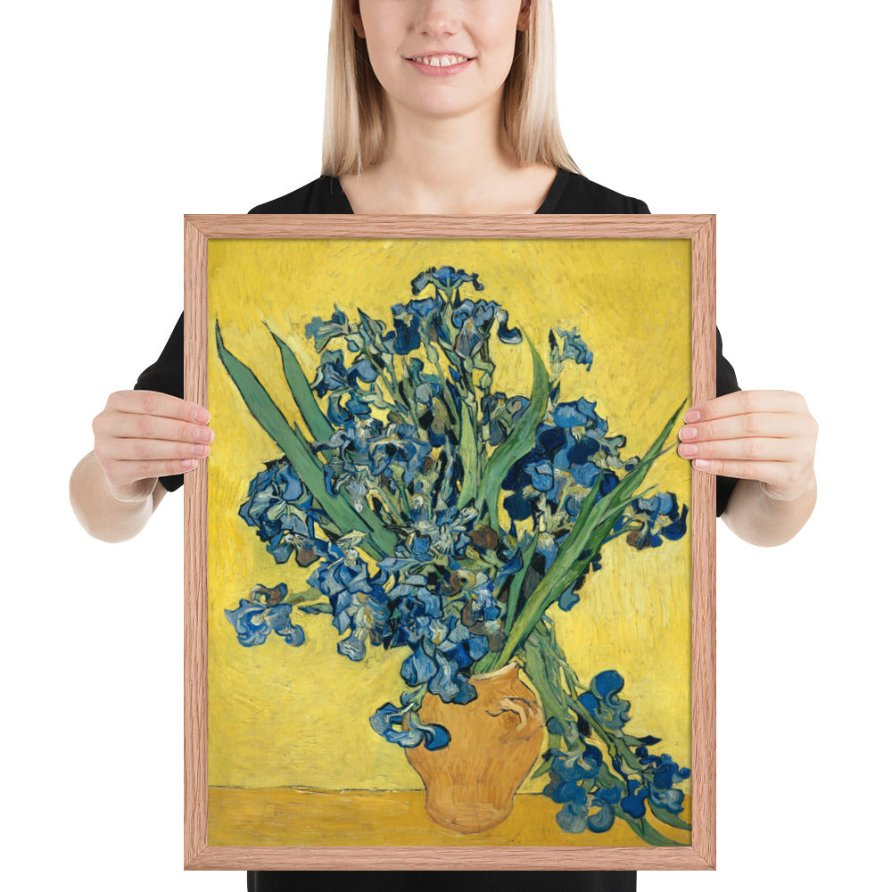 Vincent van Gogh's Irises
