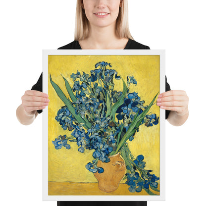 Vincent van Gogh's Irises