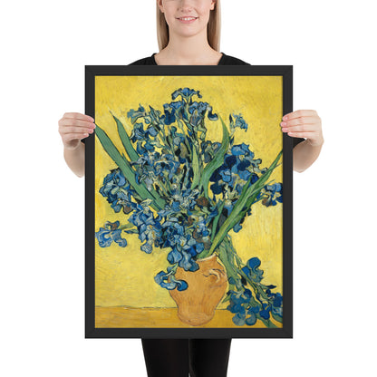 Vincent van Gogh's Irises