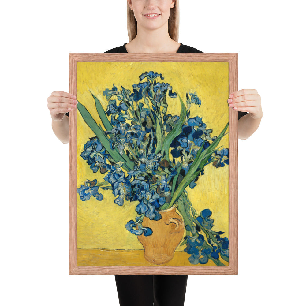 Vincent van Gogh's Irises