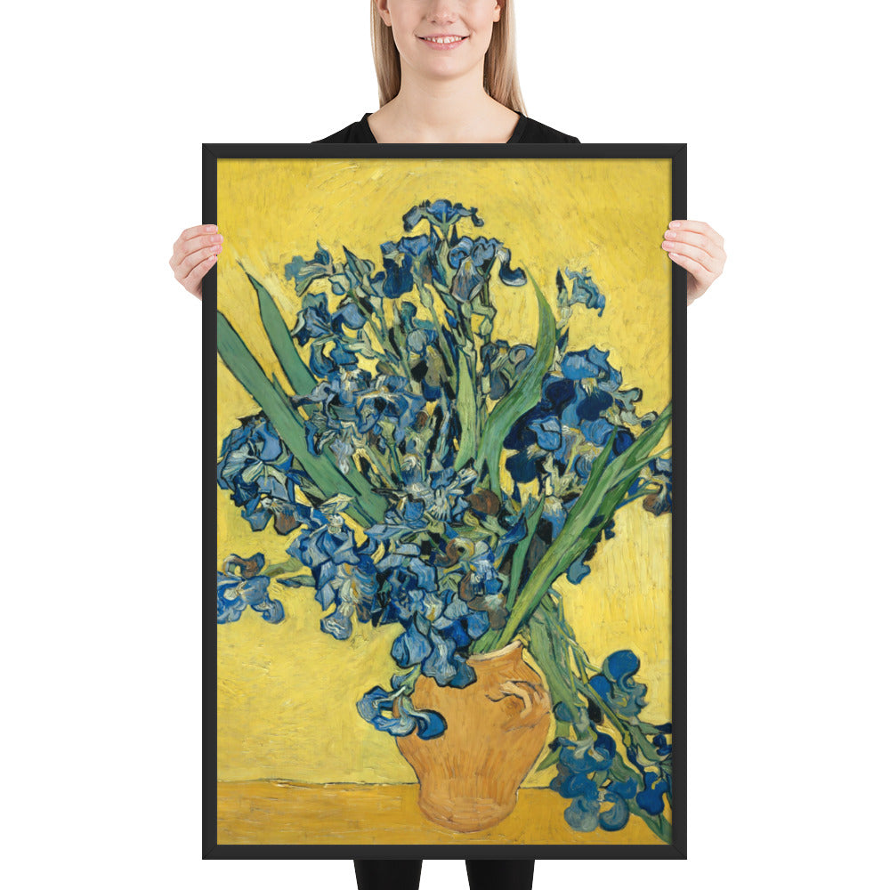 Vincent van Gogh's Irises