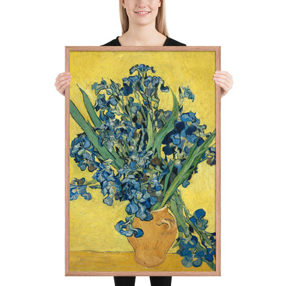 Vincent van Gogh's Irises
