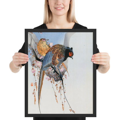 Pheasant Couple and Plum Blossom by Ohara Koson
