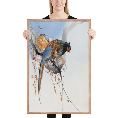 Pheasant Couple and Plum Blossom by Ohara Koson