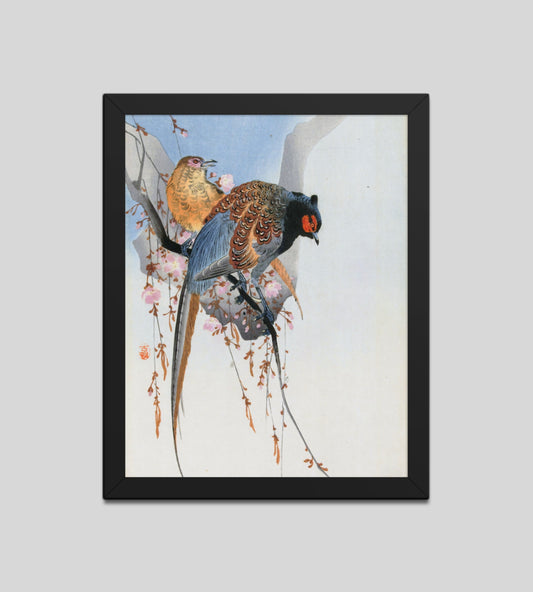 Pheasant Couple and Plum Blossom by Ohara Koson